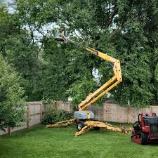 Best Soil Testing and Treatment  in Stirling, NJ