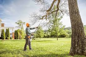Best Stump Grinding and Removal  in Stirling, NJ