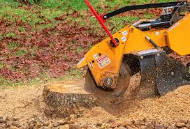 Trusted Stirling, NJ Tree Removal Experts