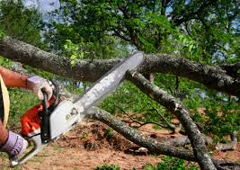 Best Tree Mulching  in Stirling, NJ