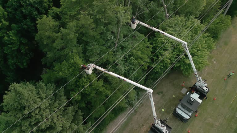 Best Seasonal Cleanup (Spring/Fall)  in Stirling, NJ