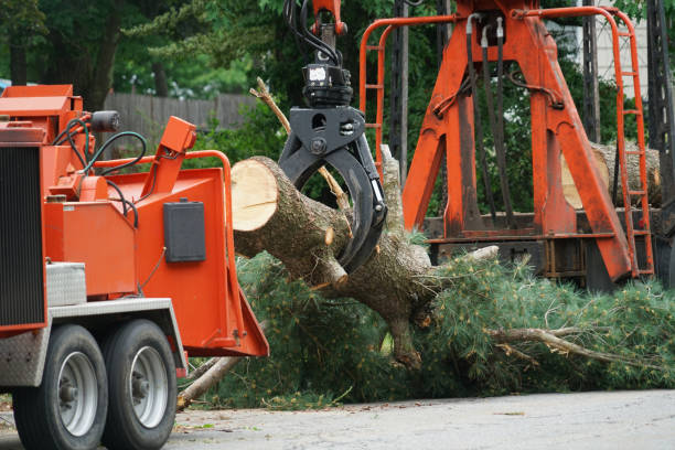 Best Commercial Tree Services  in Stirling, NJ