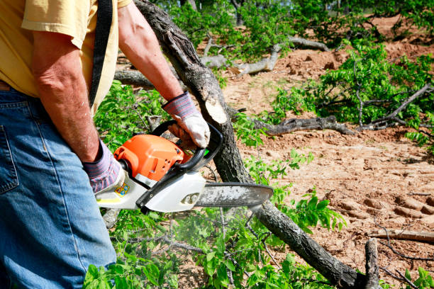 Best Leaf Removal  in Stirling, NJ